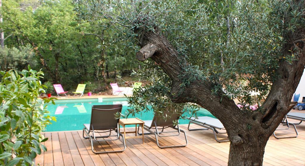 Sous Les Oliviers - Piscine Chauffee - Studios De Standing Tout-Equipes Saint-Maximin 部屋 写真