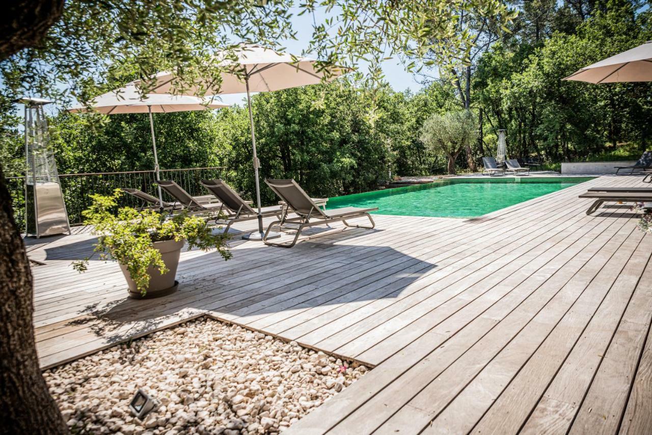 Sous Les Oliviers - Piscine Chauffee - Studios De Standing Tout-Equipes Saint-Maximin エクステリア 写真