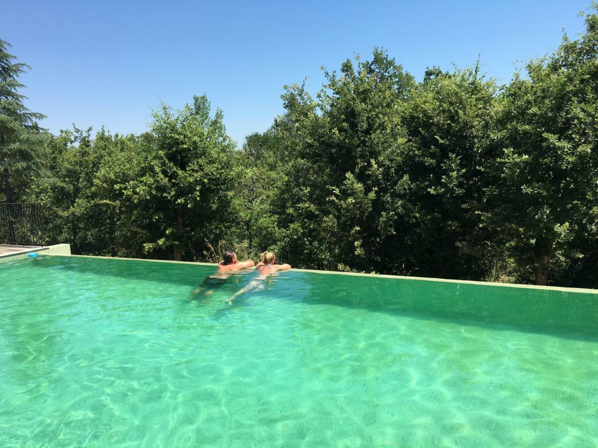 Sous Les Oliviers - Piscine Chauffee - Studios De Standing Tout-Equipes Saint-Maximin エクステリア 写真